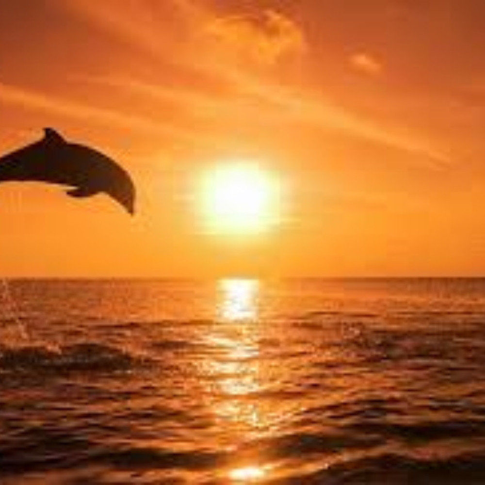 Meet your Posher, Paulette